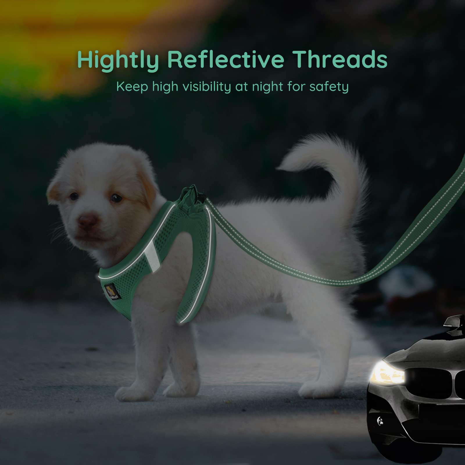 Bella & Pal Puppy Harness With Leash Set, Dog Harness For Small Dogs No Pull, Dog Leash For Small Dogs, Step In Harness For Extra Small Dogs, Green Harness, L