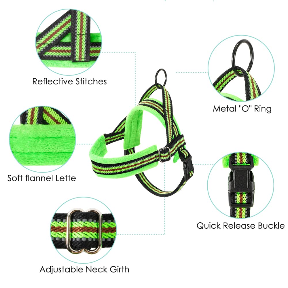 Lukovee Soft Padded Small Dog Harness (X-Small, Green) With 4Ft Lightweight Leash, Adjustable Reflective Vest For Walking, Runni