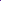 Mirage Pet Product Timeless Tale Screen Print Bandana Purple Small