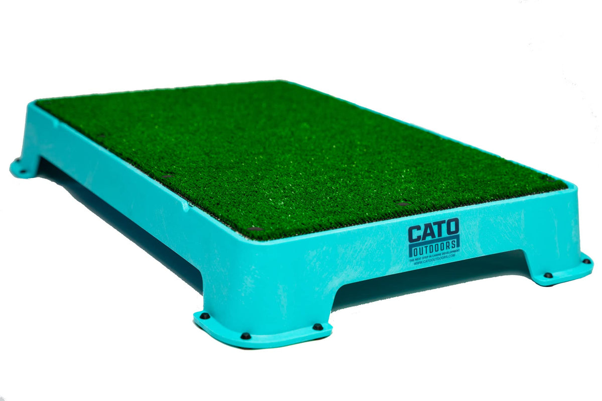 Cato Board - Dog Training Platform (Teal, Turf Surface)