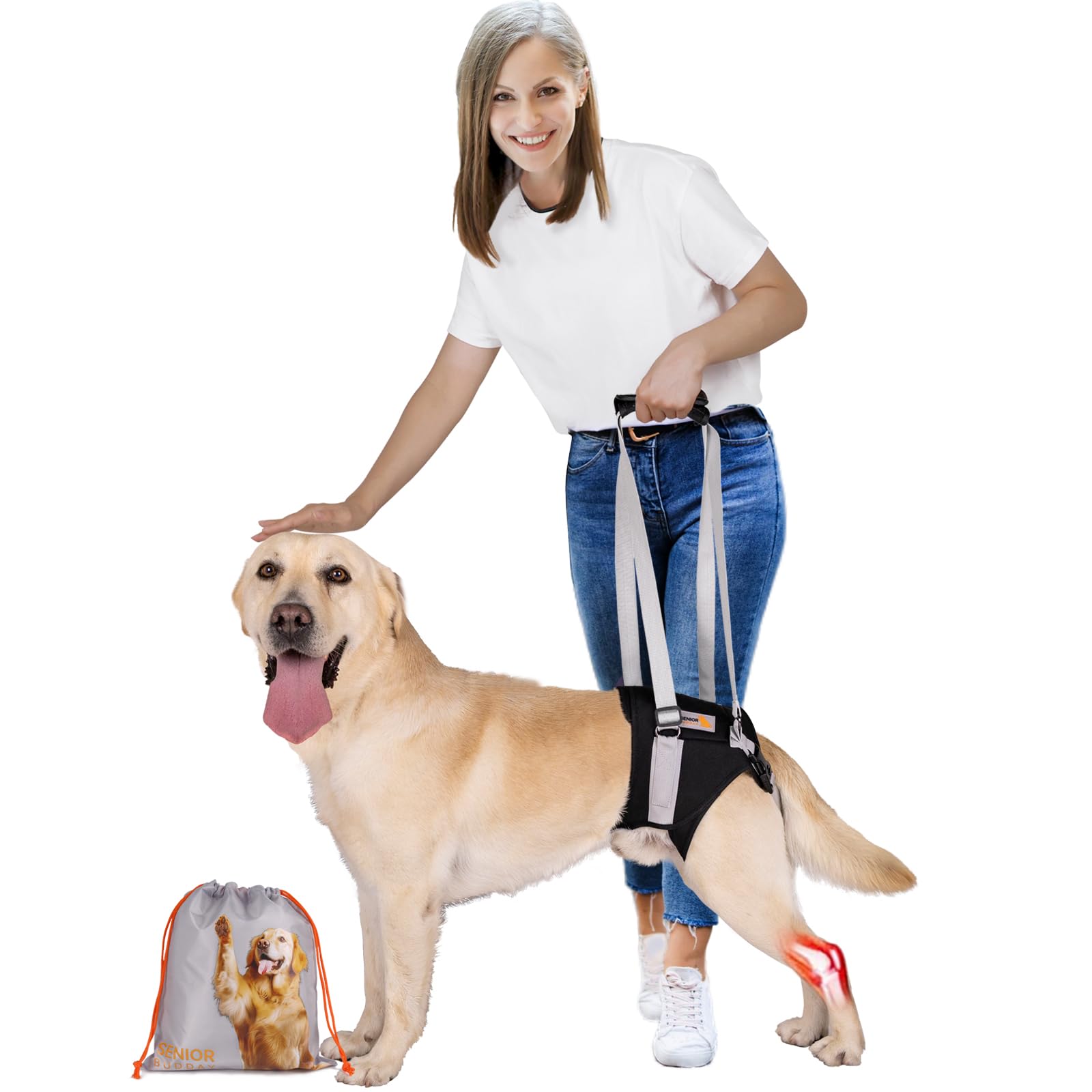 Dog Lift Harness For Large Dogs,Dog Sling For Back Legs,With Handle,Rear Leg Support/Walk/Up Stairs/Dogs Joint Injuries/Arthriti