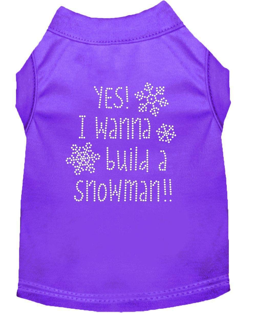 Yes I Want To Build A Snowman Rhinestone Dog Shirt Green Sm 10