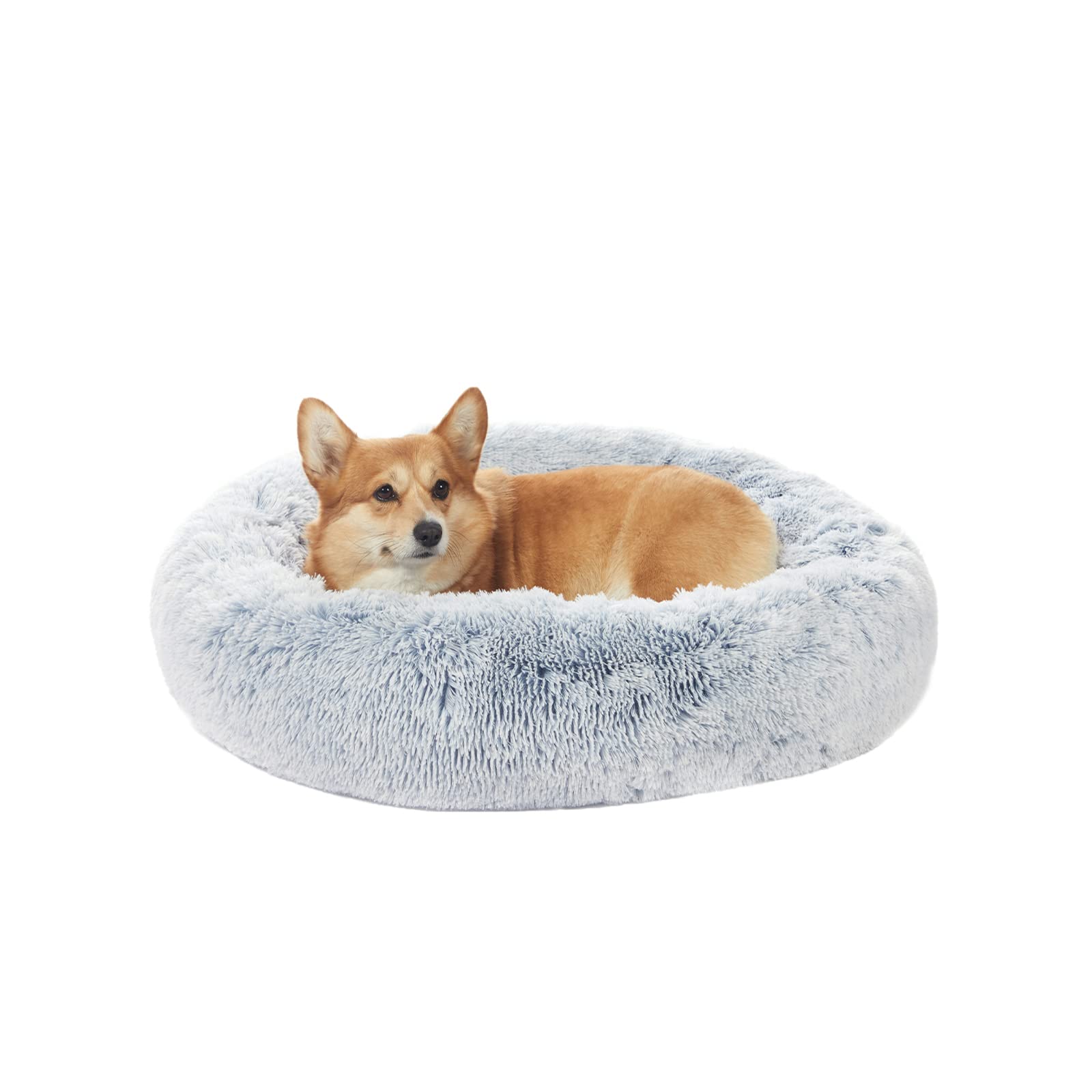 Bedfolks Calming Donut Dog Bed, 30 Inches Round Fluffy Dog Beds For Medium Dogs, Anti-Anxiety Plush Dog Bed, Machine Washable Pet Bed (Light Blue, Medium)