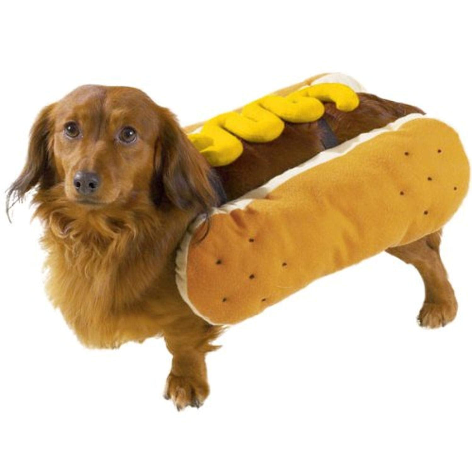 Casual Canine Hot Diggity Dog With Mustard Costume For Dogs, 14' Small/Medium