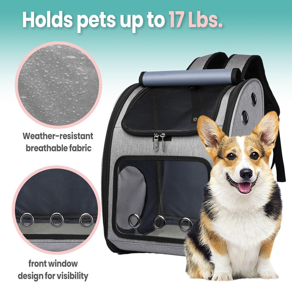 Critter Sitters Grey Pet Backpack For Small Dogs, Cats With Scratch Resistant Breathable Mesh Windows, Airline Carry-On Approved