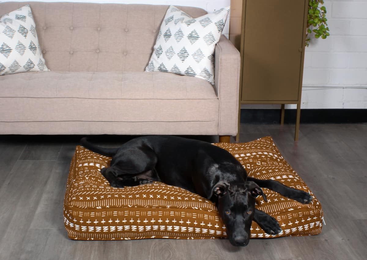 Molly Mutt Small Dog Bed Cover - Everywhere - Measures 22''X27''X5''- 100% Cotton - Durable - Breathable - Sustainable - Machine