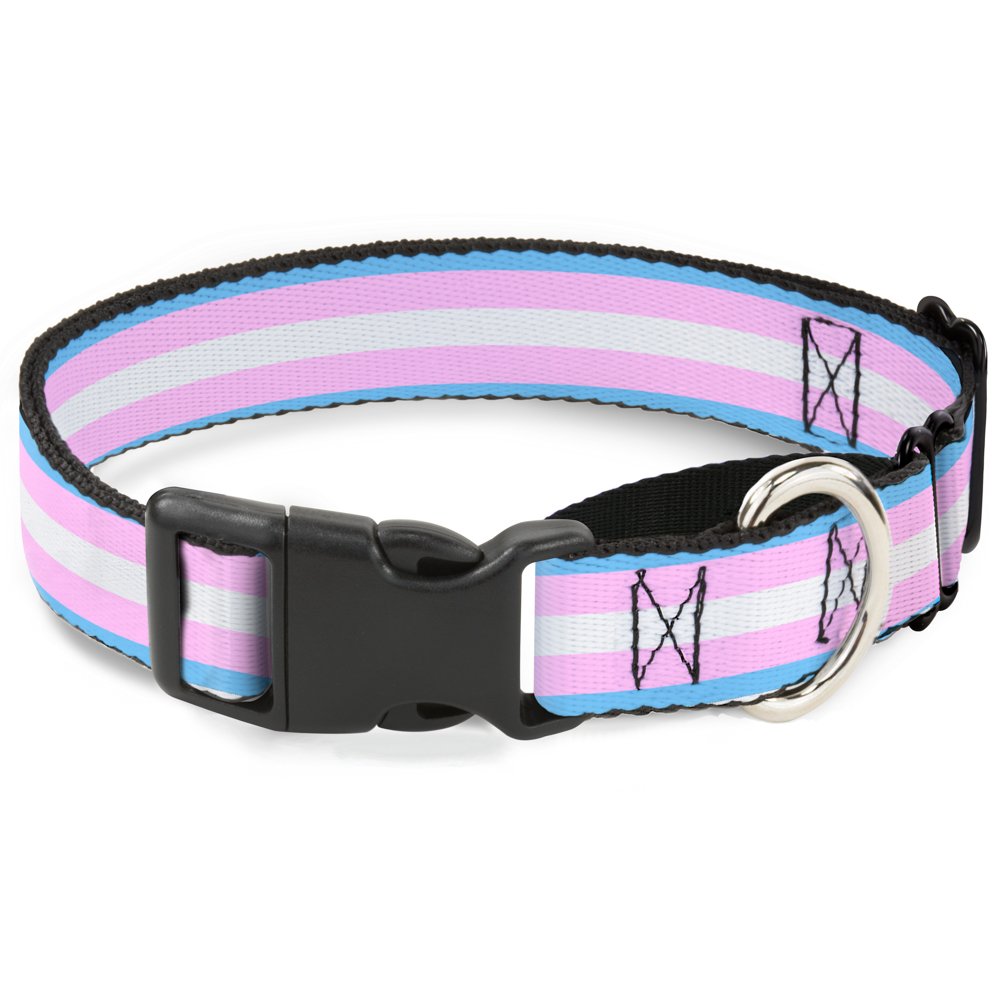 Buckle-Down Flag Transgender Baby Blue/Baby Pink/White Martingale Dog Collar, 1'' Wide-Fits 15-26'' Neck-Large