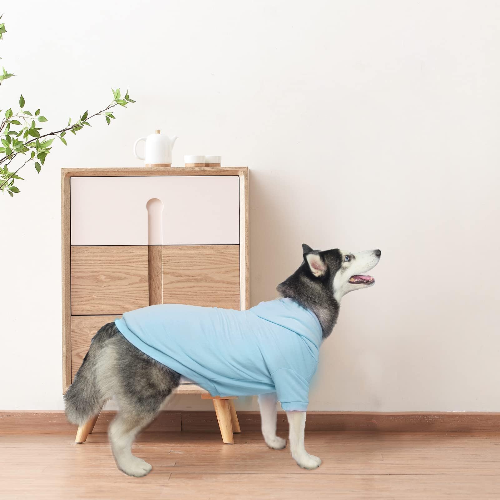 Bingpet Dog Hoodies - Fleece Lined Fall Dog Puppy Sweatshirt Soft Warm Sweater Winter Hooded Clothes For Small Medium Large Dogs