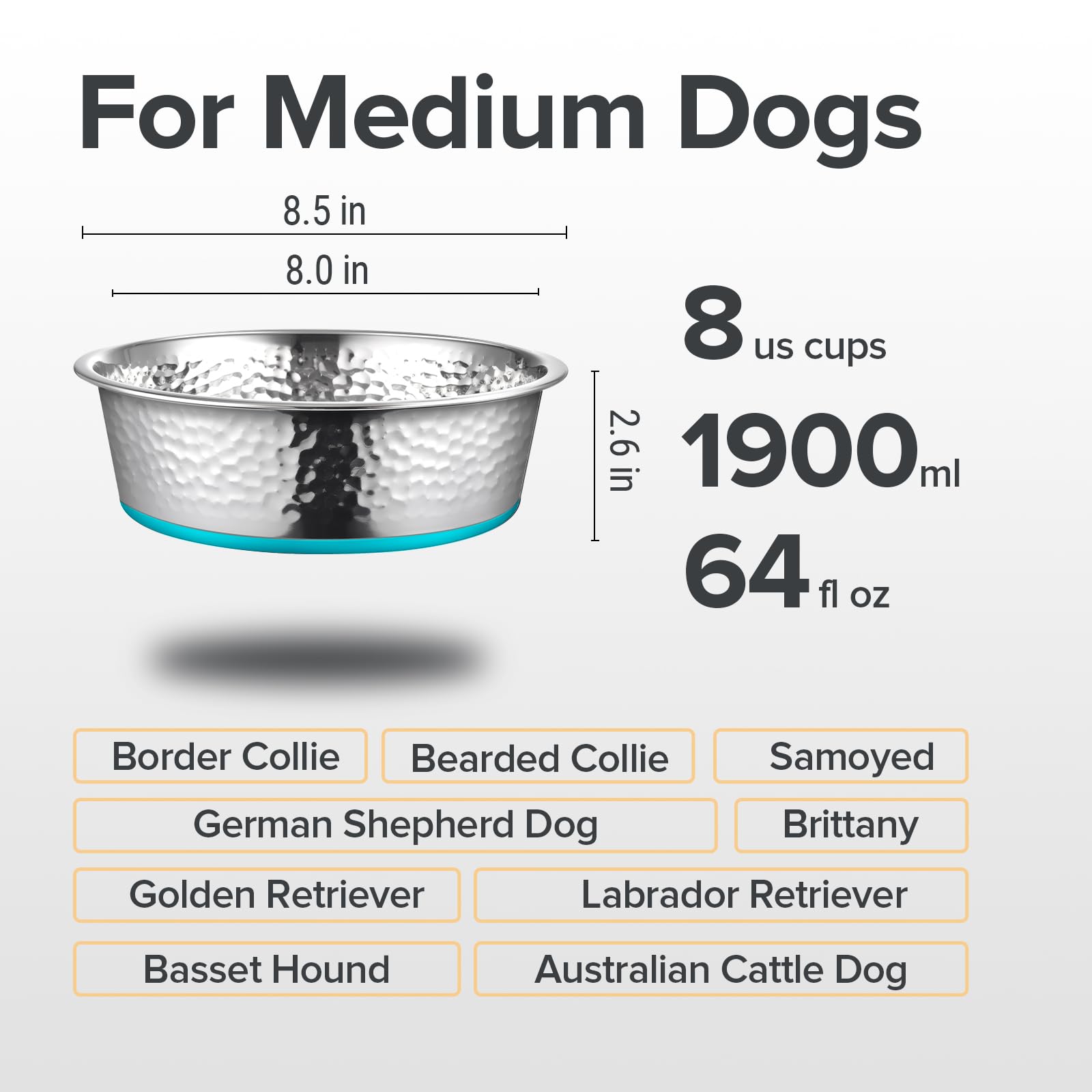 Urbuddies 2 Pack Hammered Stainless Steel Dog Bowls, 8 Cup, Turquoise Bottom