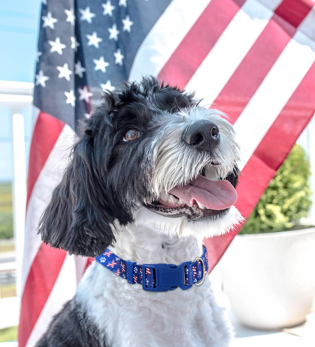 American Flag Dog Collar For Large Dogs 2Pack, Quick Release 4Th Of July Dog Collar Set