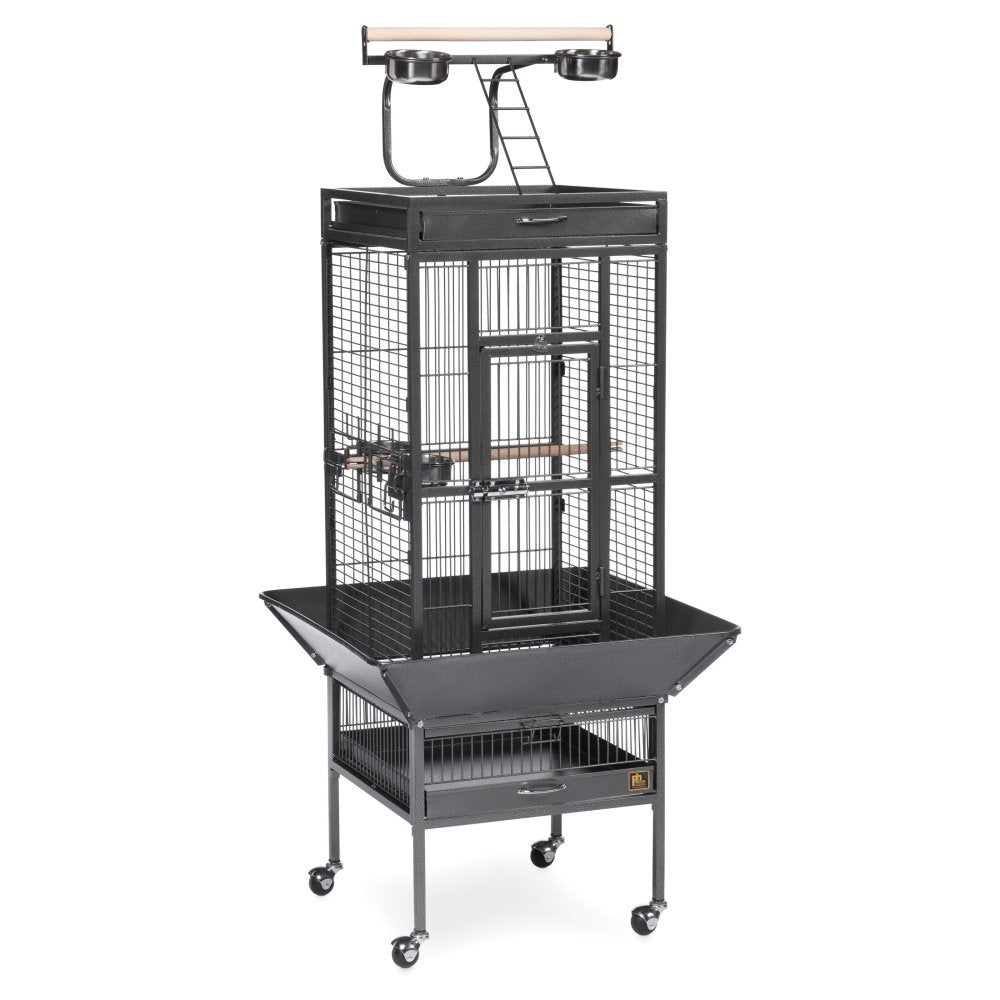 Prevue Pet Products Wrought Iron Select Bird Cage Black Hammertone 3151BLK, 18 x 18 x 57