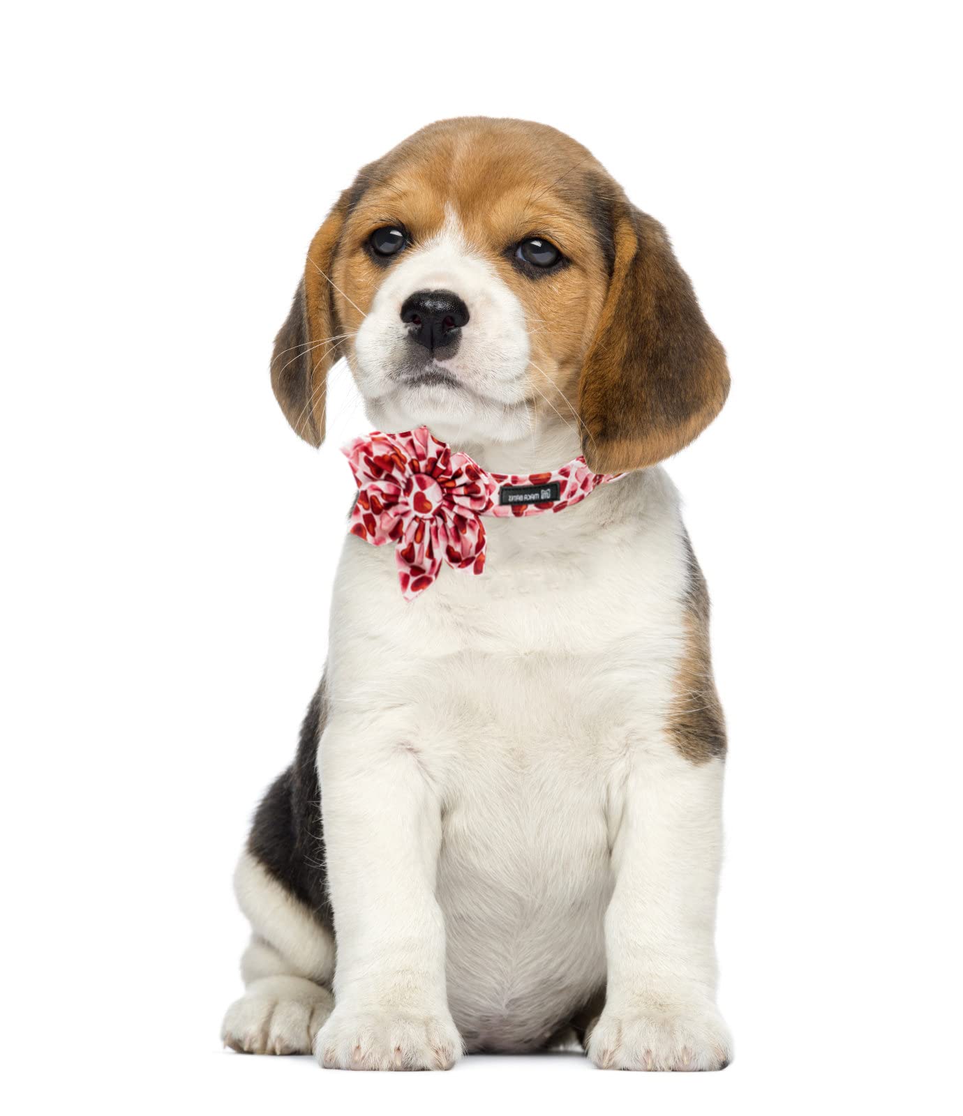 Maca Bates Valentine? Day Dog Collar With Bow/Flower/Bow Tie, Sweet Heart Adjustable Collar For Small Medium Large Dog With Metal Buckle