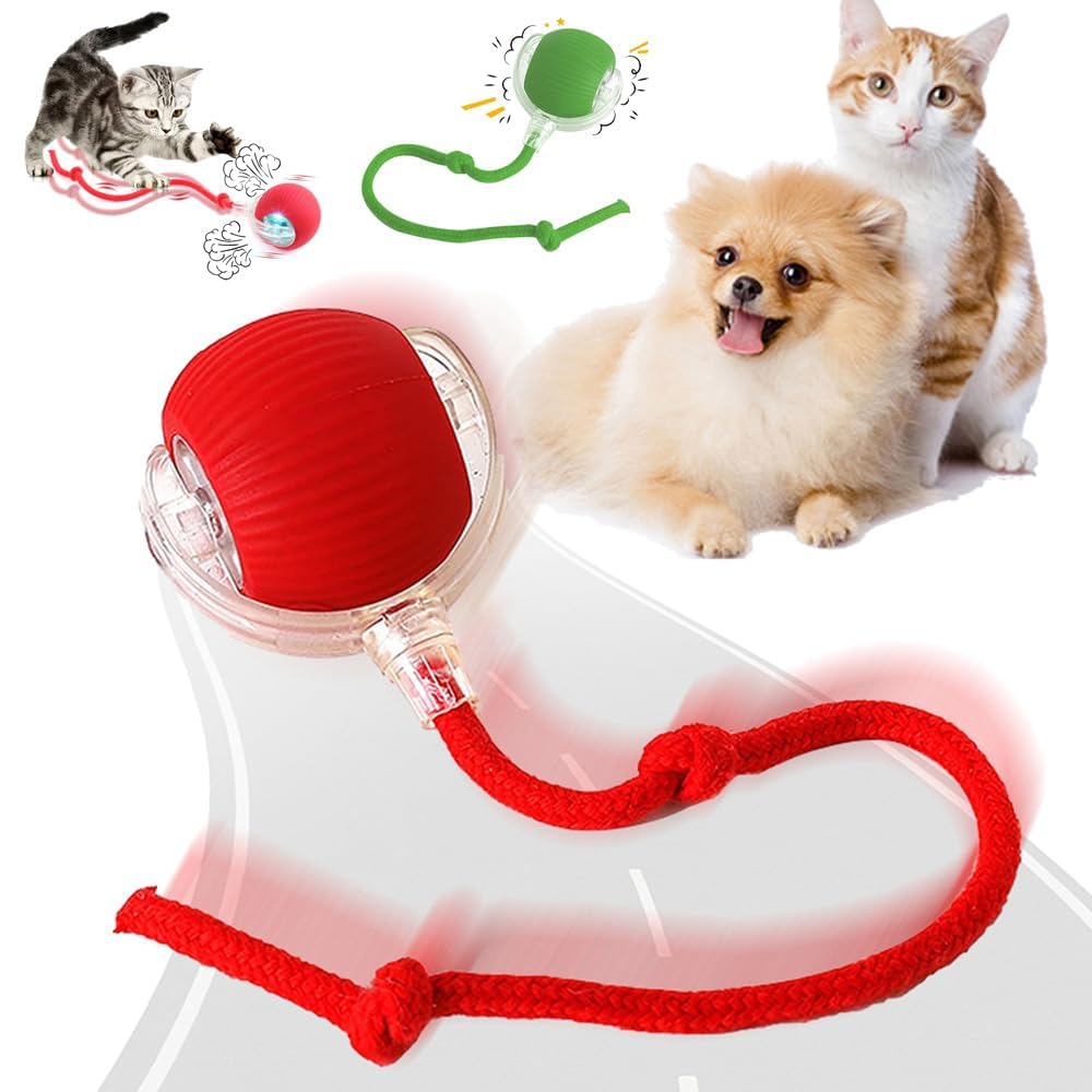 Satyam Enterprise Cat Toy Ball For Indoor Cats & Kittens Interactive Rolling Play Ball With Bell For Exercise Training Hunting A