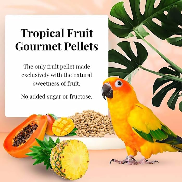 LAFEBERS Tropical Fruit Gourmet Pellets Pet Bird Food, No Added Sugar, Made with Non-GMO and Human-Grade Ingredients, for Conur