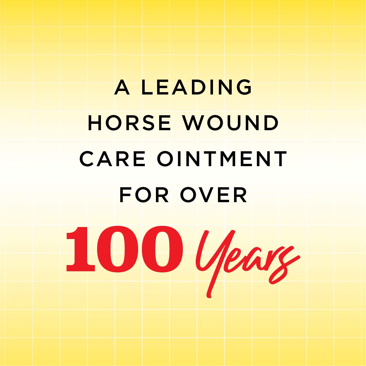 Corona Ointment for Horses | Lanolin-Based Formula Helps Sooth Irritation | 14 Ounces