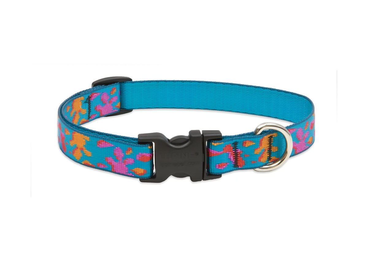 Lupinepet Originals 3/4' Wet Paint 13-22' Adjustable Collar For Medium And Larger Dogs