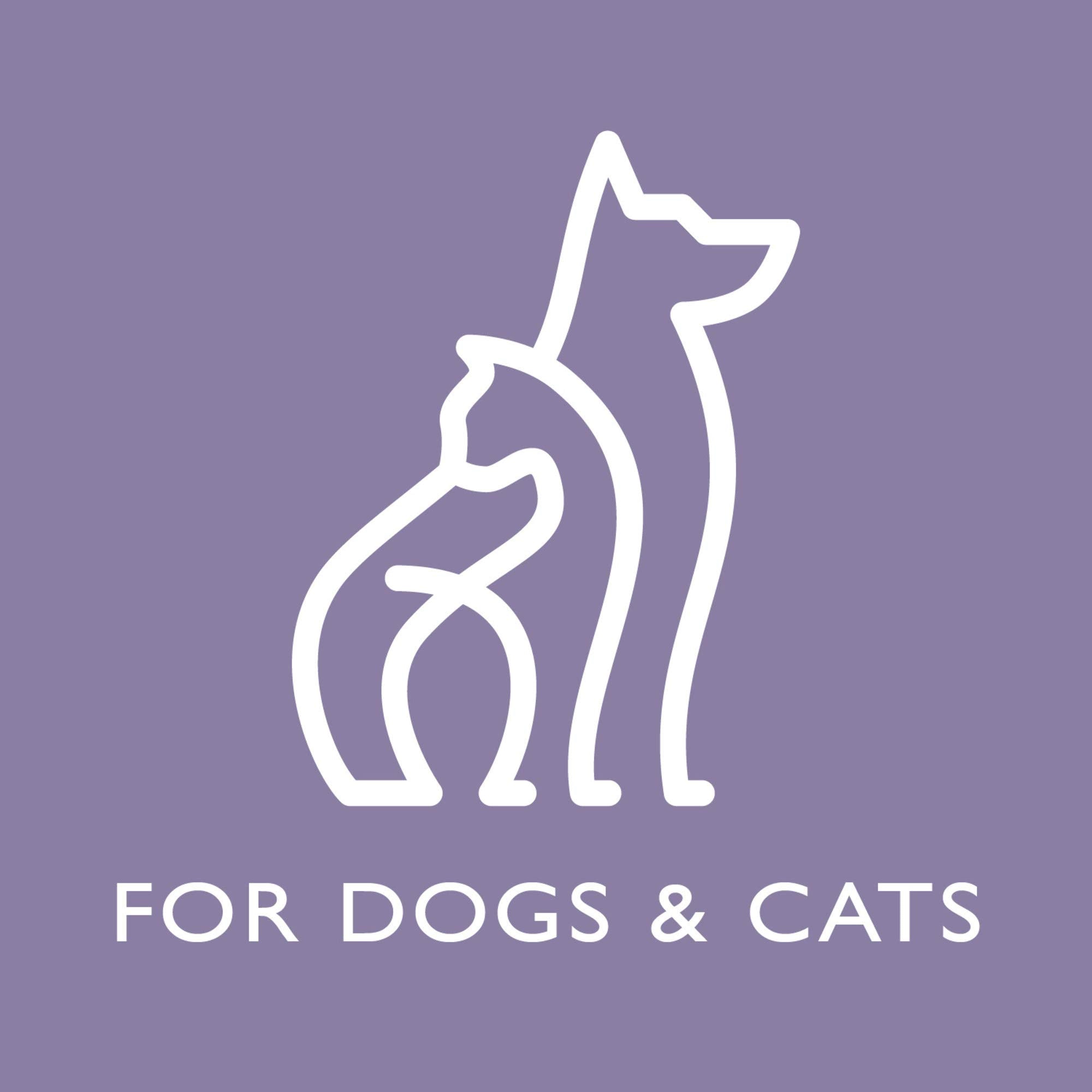 Tropiclean Spa Tear Stain Remover For Dogs | Blueberry Facial Shampoo | Odor Eliminator | Tearless | Whitening And Brightening | Made In Usa | 1 Gallon