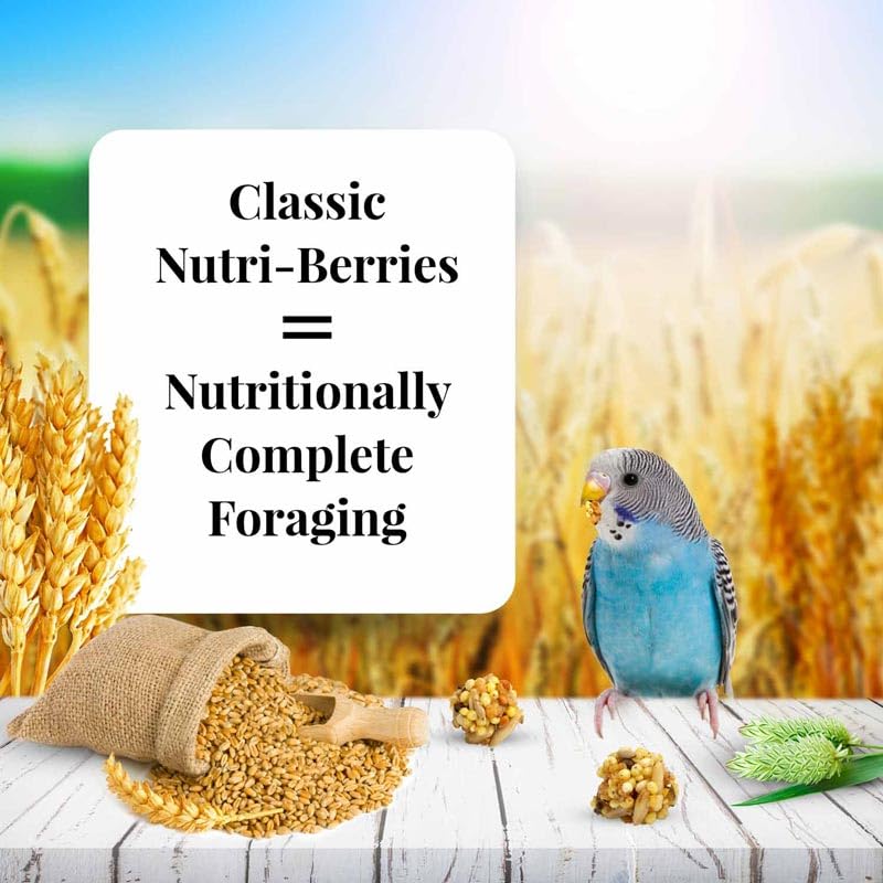 LAFEBERS Classic Nutri-Berries Pet Bird Food, Made with Non-GMO and Human-Grade Ingredients, for Parakeets (Budgies), 4 lb