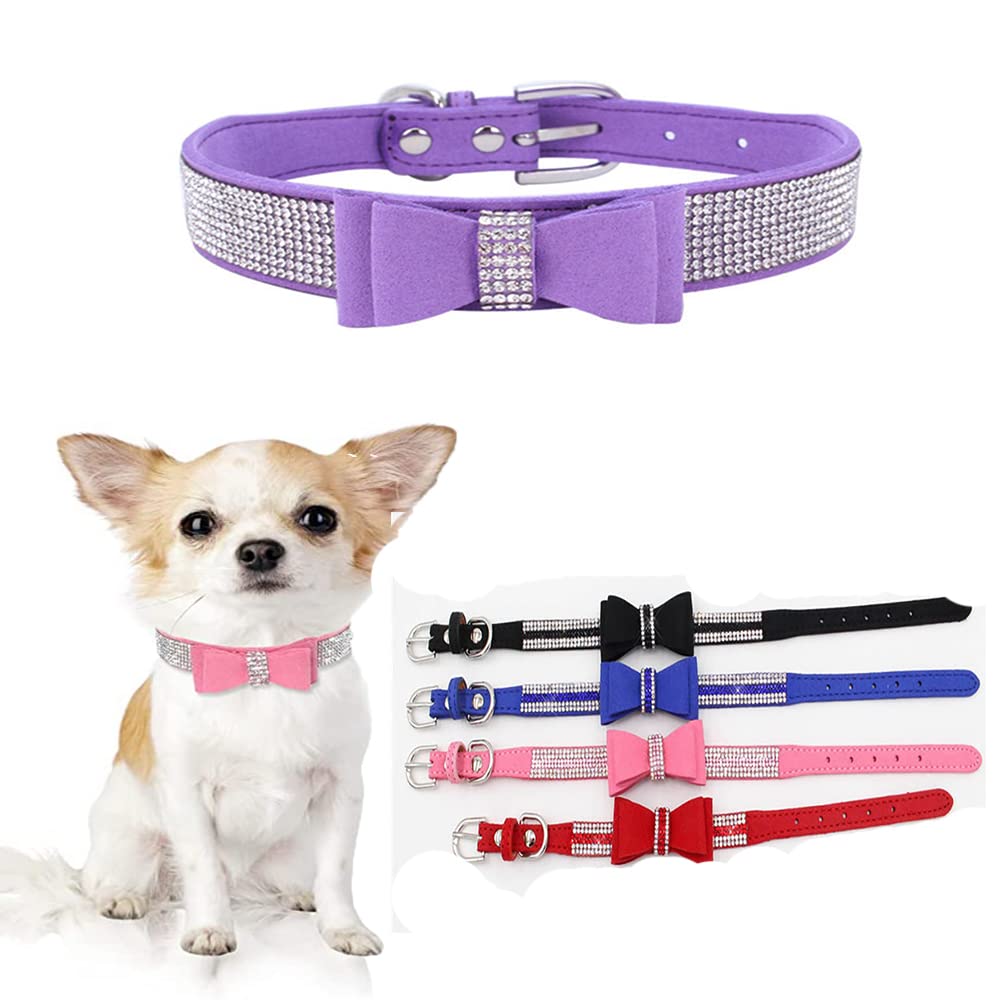 Dog Collar For Small Dogs