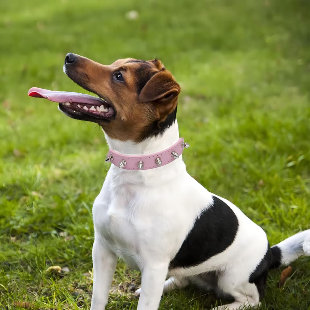 Pink Small Puppy Collar, Studded Dog Collar, Spike Dog Collar Girl, Spiky Stud Rivet Spiked Pu Leather Mushroom Kitten Cat Colla