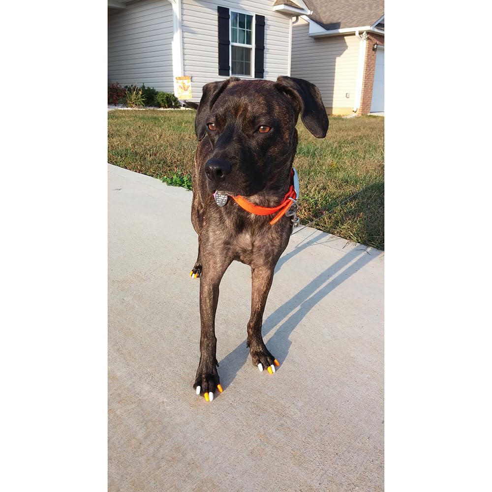 Purrdy Paws Soft Nail Caps 60 Packs For Dogs - Silver Holographic Glitter Jumbo