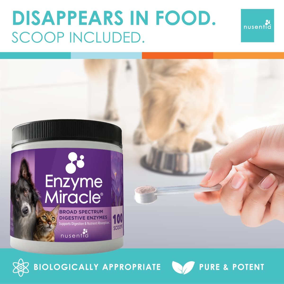 Enzymes for Cats & Dogs : Enzyme Miracle (100 Servings) : for Digestive Stress, Pancreatic Concerns, and Healthy Weight Manageme