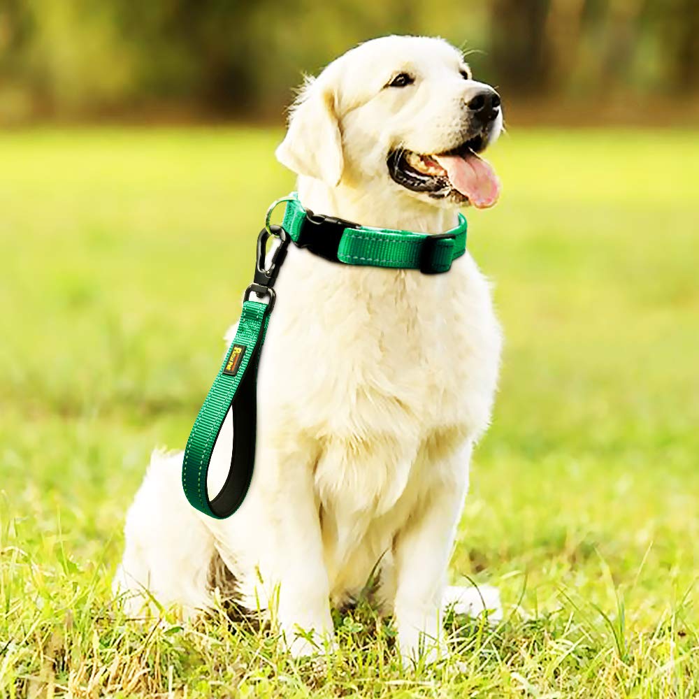 Plutus Pet 10” Short Dog Leash, Reflective Nylon Padded Handle, Strong Traffic Leash With Carabiner Clip, Perfect For Large Or Medium Dogs(10”,Green