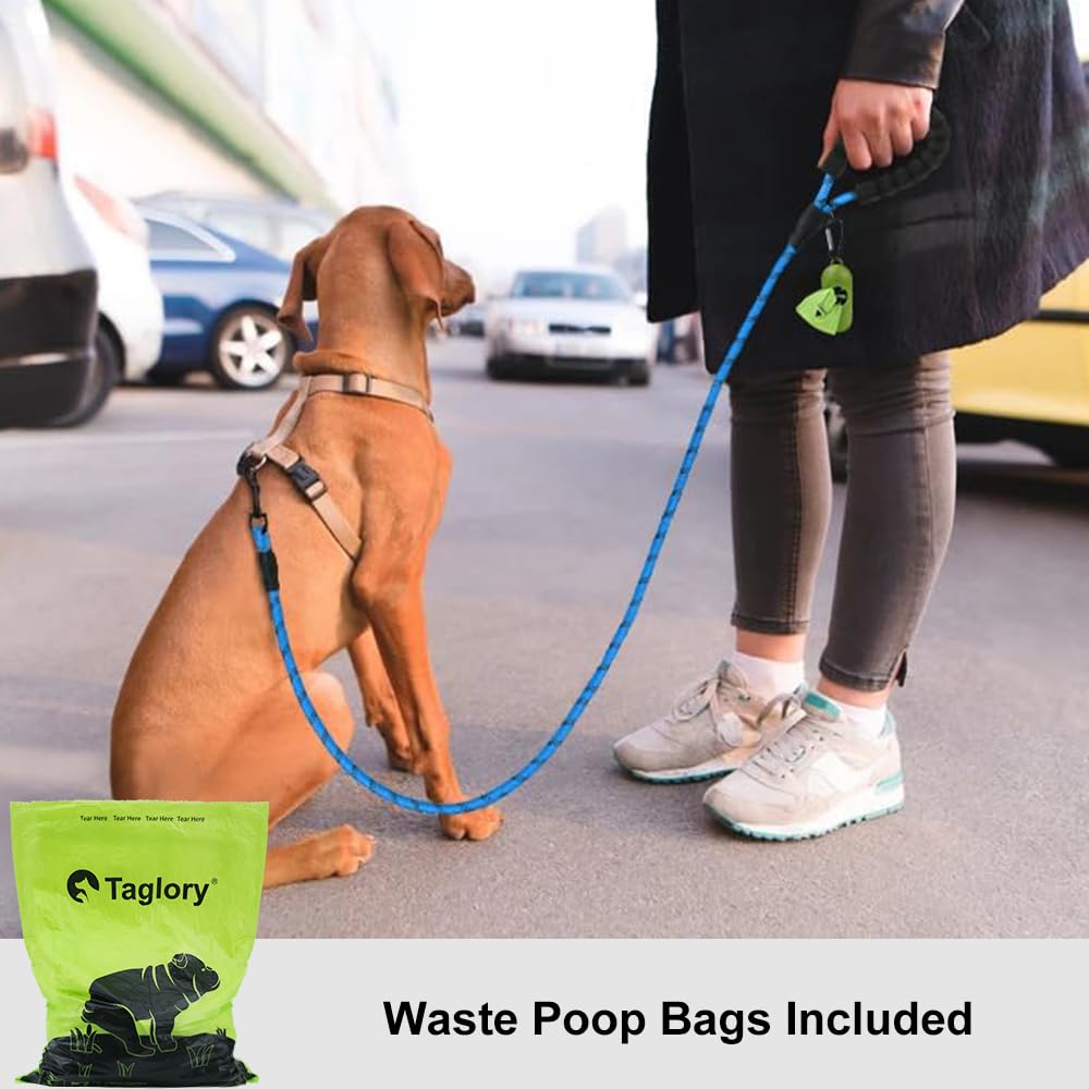 Taglory Rope Dog Leash 4 Ft With Comfortable Padded Handle, Highly Reflective Threads Leash For Small Dogs, 3/8 Inch, Blue