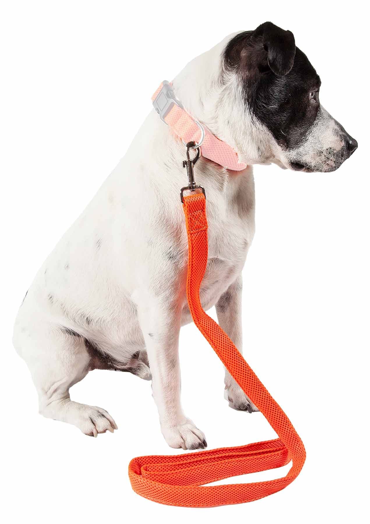 Pet Life A Aero Mesh Dog Leash Featuring Dual-Sided Ventillated Mesh - Connects To Any Dog Harness Or Dog Collar With Swivel-Hoo