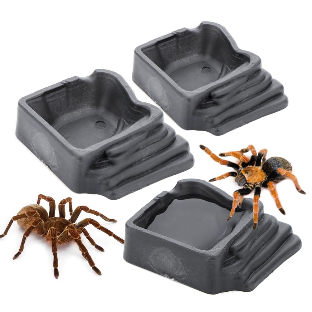6 Pack Tarantula Water Bowl Hermit Crab Resin Dish For Reptile Tarantula Spider Millipede Insect (Large: 0.94 D, 0.47 H)