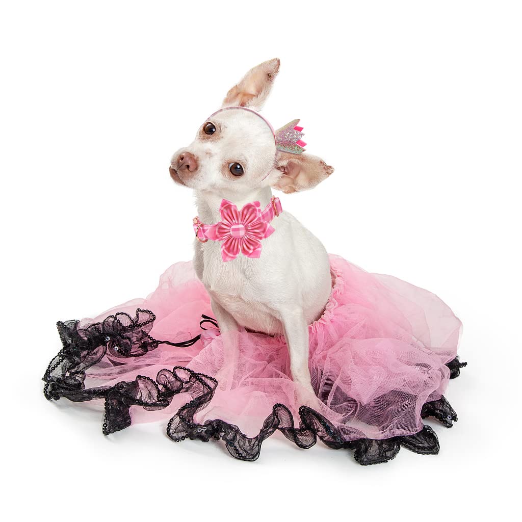 Lionheart Glory Dog Collar, Pink Dog Collar With Flower, Cute Floral Pattern Pet Collar Adjustable Dog Collar For Medium Dogs