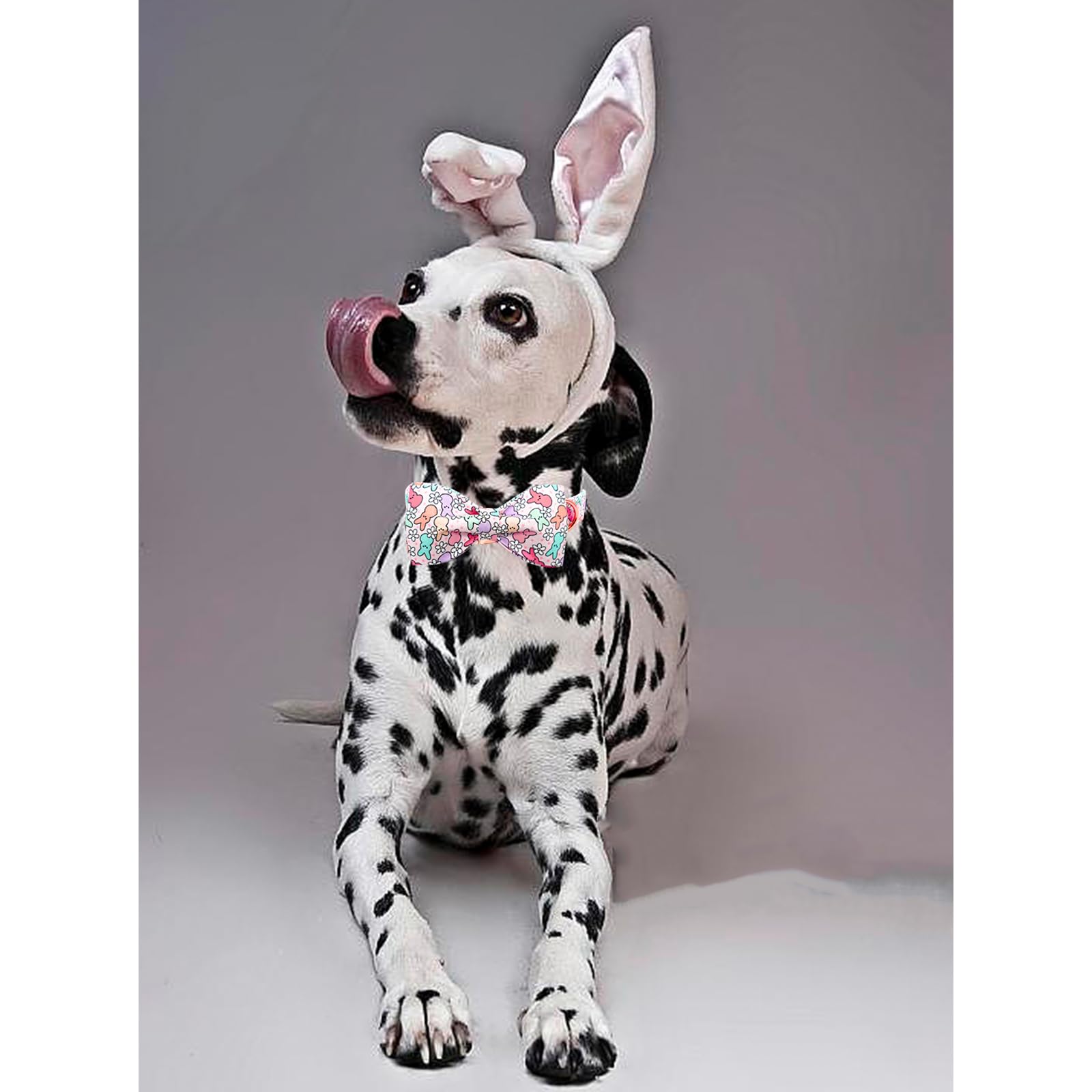 Lionheart Glory Easter Day Dog Collar With Bowtie For Large Dogs