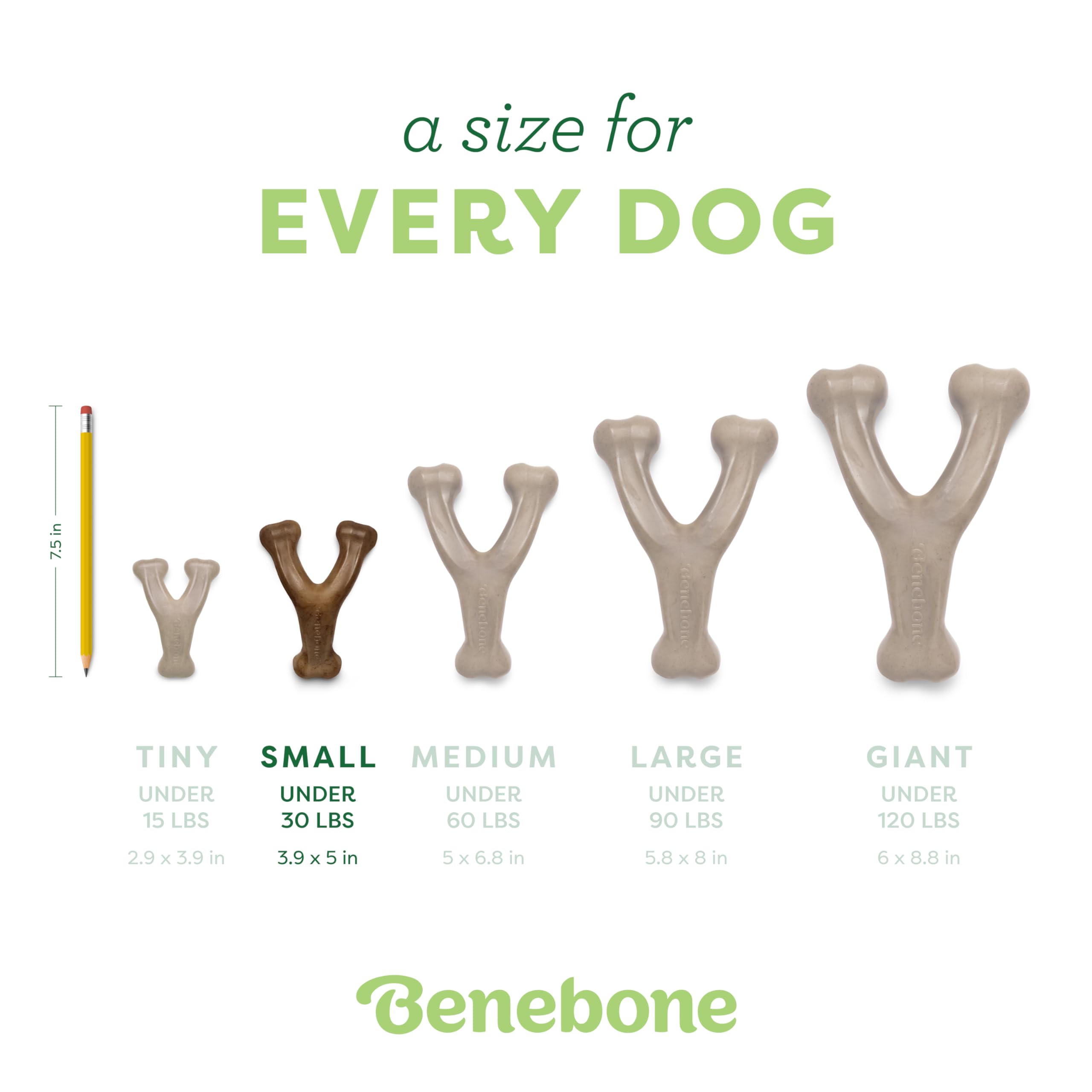 Small 3-Pack, Benebone Wishbone Durable Dog Chew Toy for Aggressive Chewers, Real Bacon, Chicken, Peanut Butter, Made in USA, Va