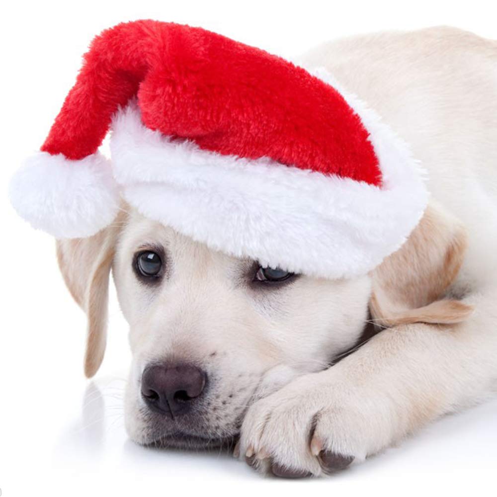 2 Pcs Pet Christmas Santa Hats Dog Cat Plush Xmas Red Hat Merry Christmas Caps Adjustable Puppy Kitten Headpiece Cosplay Costume