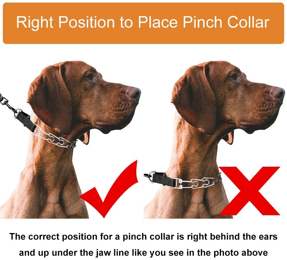 Cbbpet Dog Prong Collar, Adjustable Dog Training Collar With Quick Release Buckle For Small Medium Large Dogs