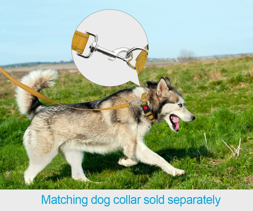 Taglory Nylon Dog Leash 6Ft, Soft Padded Handle Pet Reflective Leashes For Medium Large Dogs Walking & Training,Tan