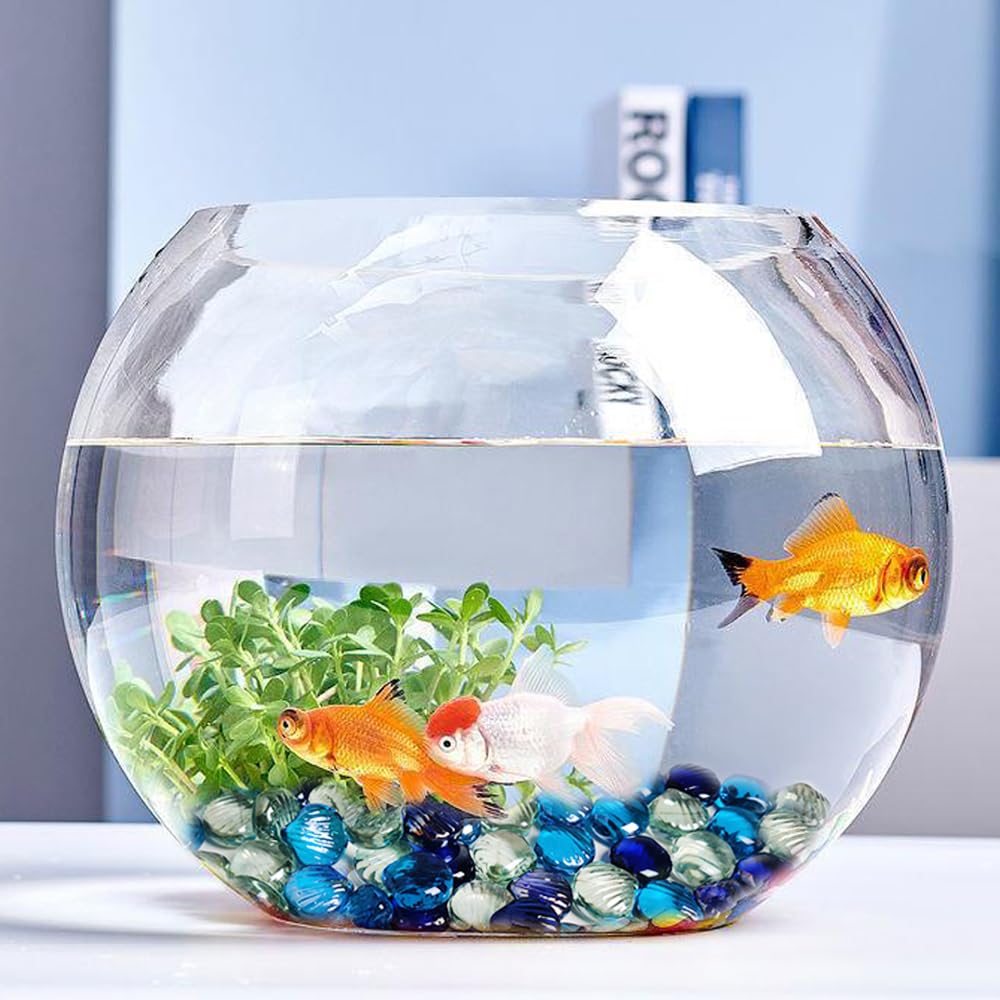 HappyFiller 2 LB Glass Sea Shell Marbles Stones Vase Filler Gems Aquarium Fish Tank Pebbles,Tabletop Fountain Decor,Beach Theme