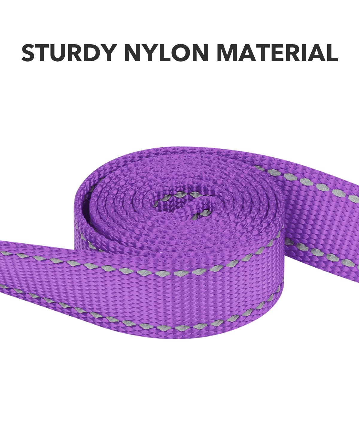 Taglory Double-Sided Reflective Heavy Duty Dog Leash 5Ft,Neoprene Padded Handle And Metal Hook Pet Training Leashes For Small Medium Large Dogs, Purple