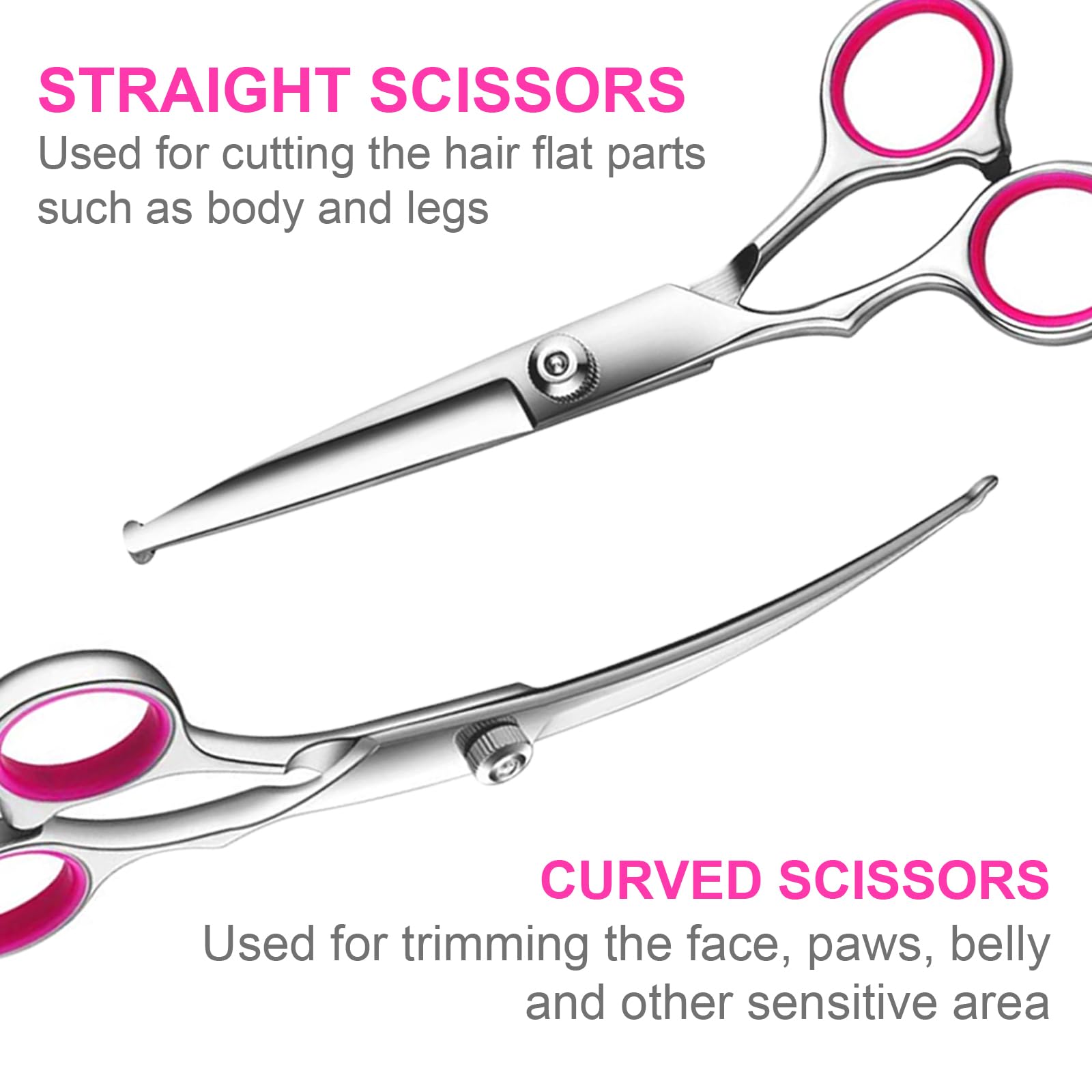 Tinmarda Dog Grooming Scissors Set With Safety Round Tips, Sharp And Durable Titanium Coated Professional Kit For Dogs And Cats