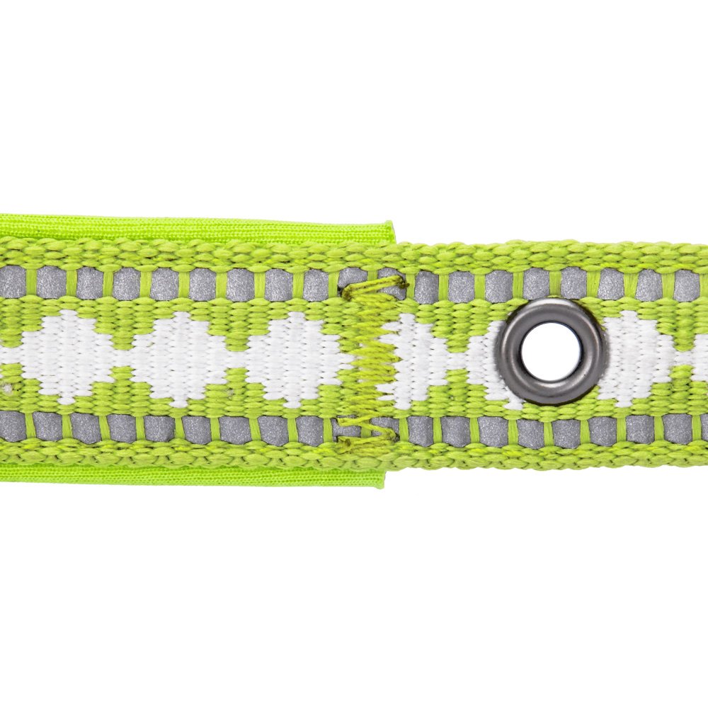 Blueberry Pet Soft & Safe 3M Reflective Jacquard Neoprene Padded Adjustable Dog Collar With Metal Buckle - Macaw Green, Neck 17-