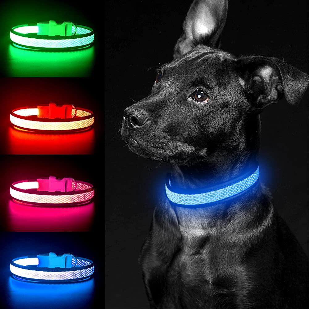 Yfbrite Light Up Dog Collar, Rechargeable Led Dog Collar, Flashing Dog Collar, Adjustable Reflective Dog Collar Safety Glowing At Night (Blue, Medium)