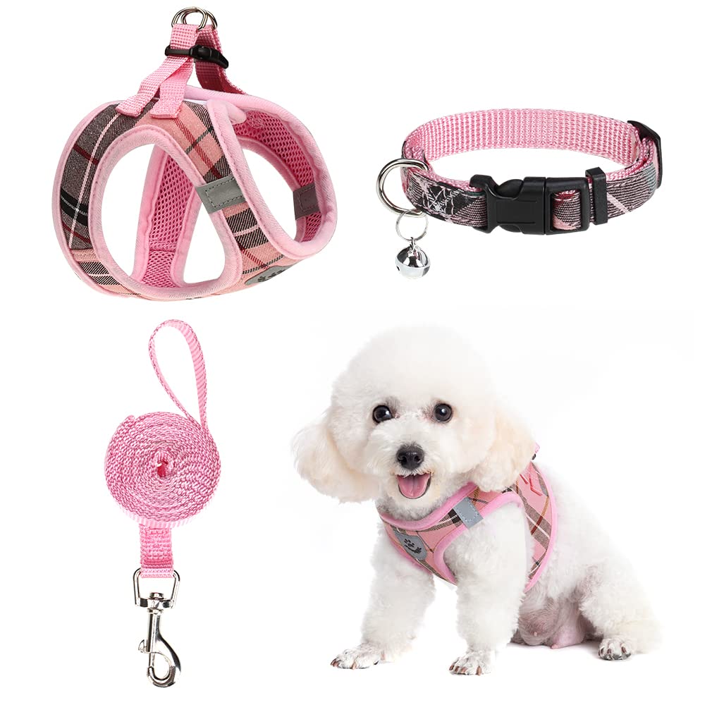 Expawlorer Dog Harness And Leash Set - Step In Dog Vest Harness No Pull With Bell Collar, Breathable Mesh Adjustable Puppy Small Dog Harness, Reflective Escape-Proof For Training Outdoor Walking