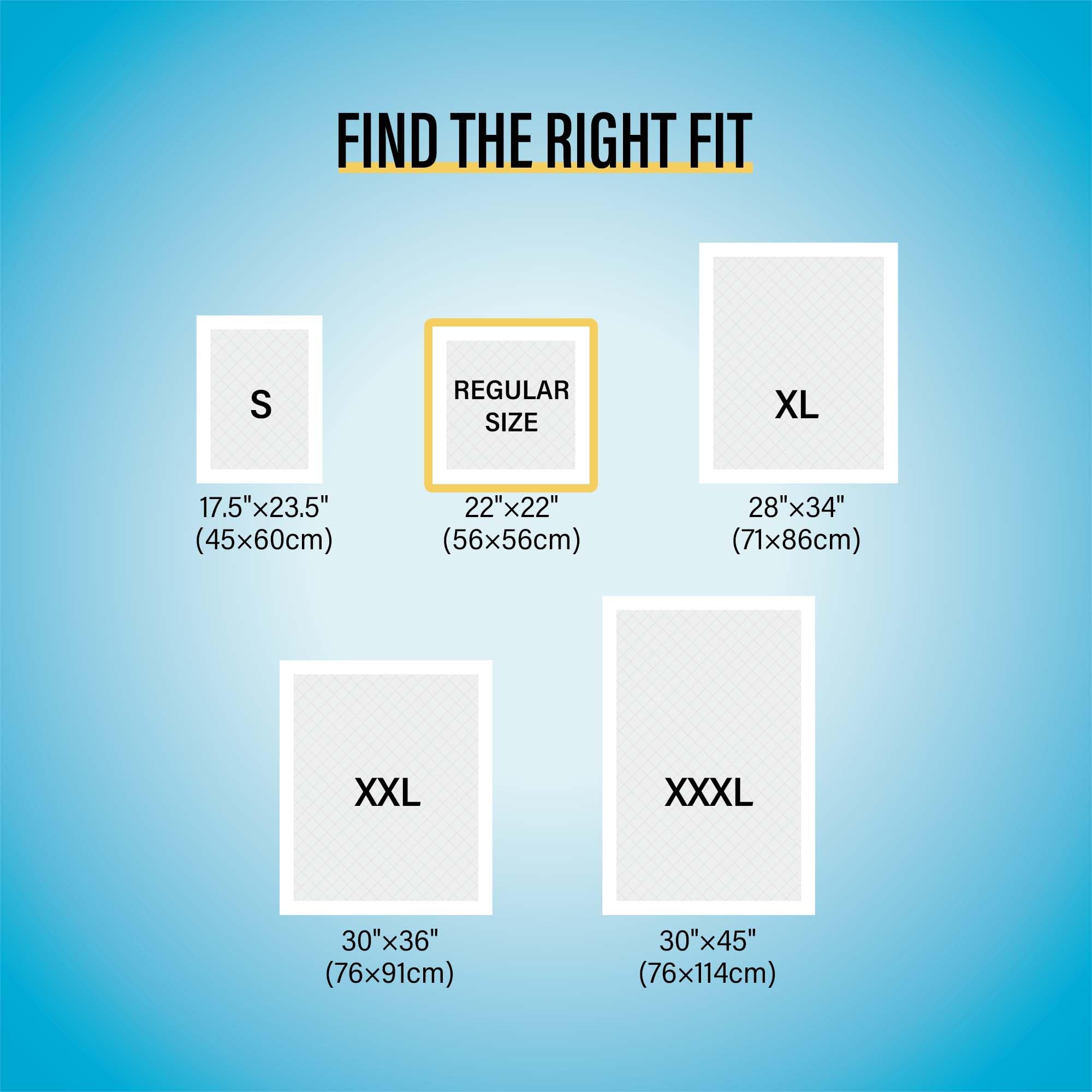 Cocoyo Best Value Training Pads, 22' By 22', 100Count