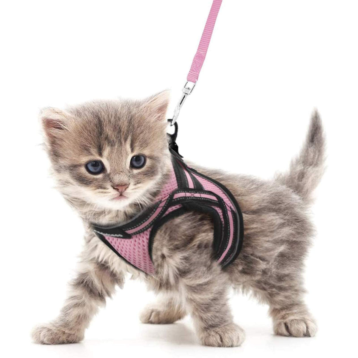 Rabbitgoo Cat Harness And Leash Set For Walking Escape Proof, Adjustable Soft Kittens Vest With Reflective Strip For Cats, Comfortable Outdoor Vest, Pink, M