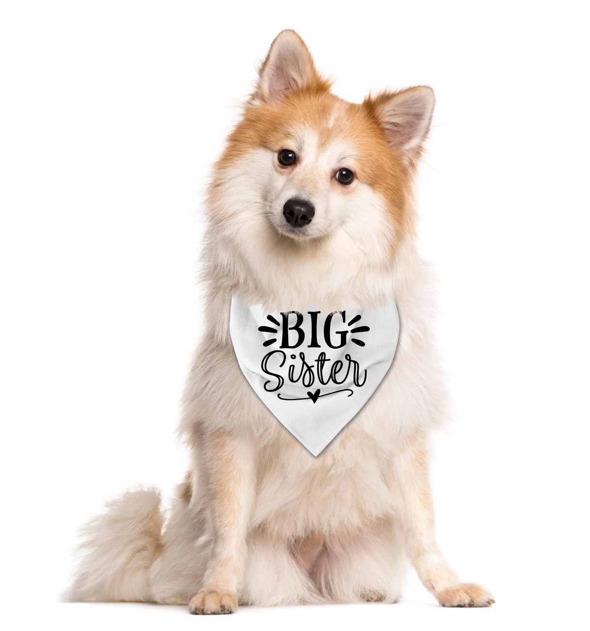 Big Sister Dog Bandana, White Dog Scarf Accessories, Pet Triangle Scarf, Pet Bandana For Small Medium Dogs, Baby Announcement Do