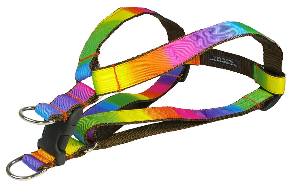 Large Rainbow Dog Harness: 1' Wide, Adjusts 23-35' - Made In Usa.