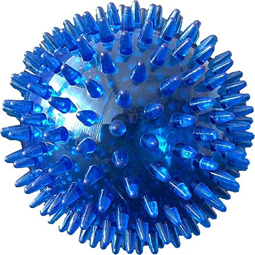 PetSport Gorilla Ball Scented, Super Durable, Ultra Light and Ultra Bouncy Dog Toy for Small, Medium and Large Dogs, Assorted Co