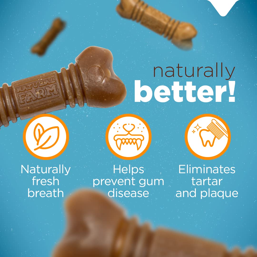 Natural Farm All-Natural Dog Dental Chew, Dog Teeth Cleaning Treats - Fresh Breath, Fight Plaque & Tartar - Canine Mess-Free Ora