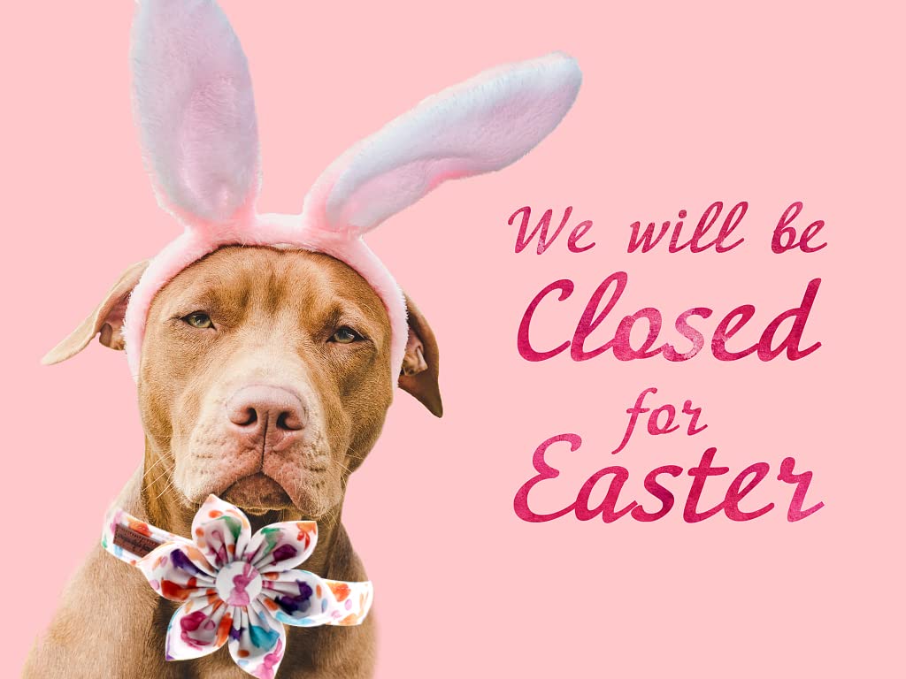Unique Style Paws Easter Dog Collar, Girl Dog Collar With Flower, Adjustable Dog Collar Pet Collar For Small Memium Large Dogs