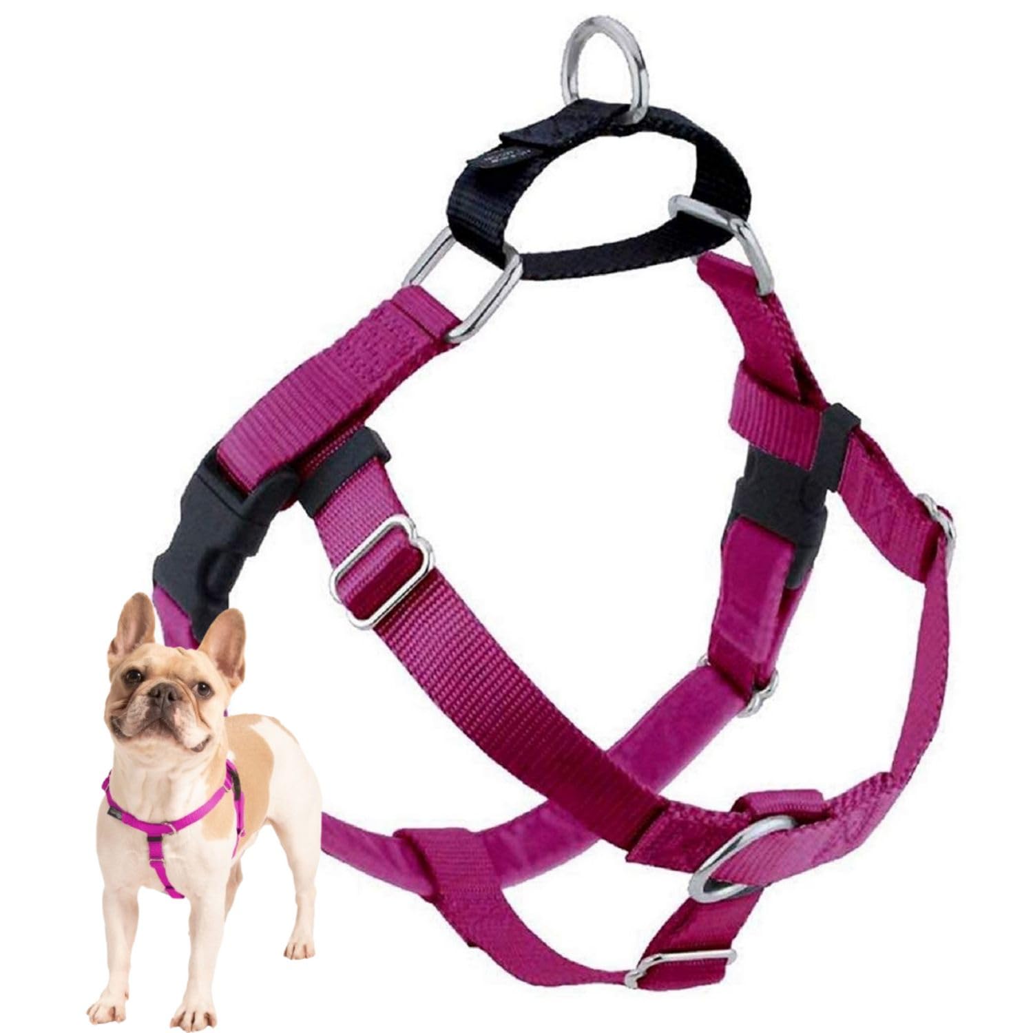 2 Hounds Design Freedom No Pull Dog Harness, Adjustable Harness, Easy Walking & Comfortable Control, Fits Small, Medium & Large Dogs, Solid Colors, Made In Usa, 1' Md, Raspberry